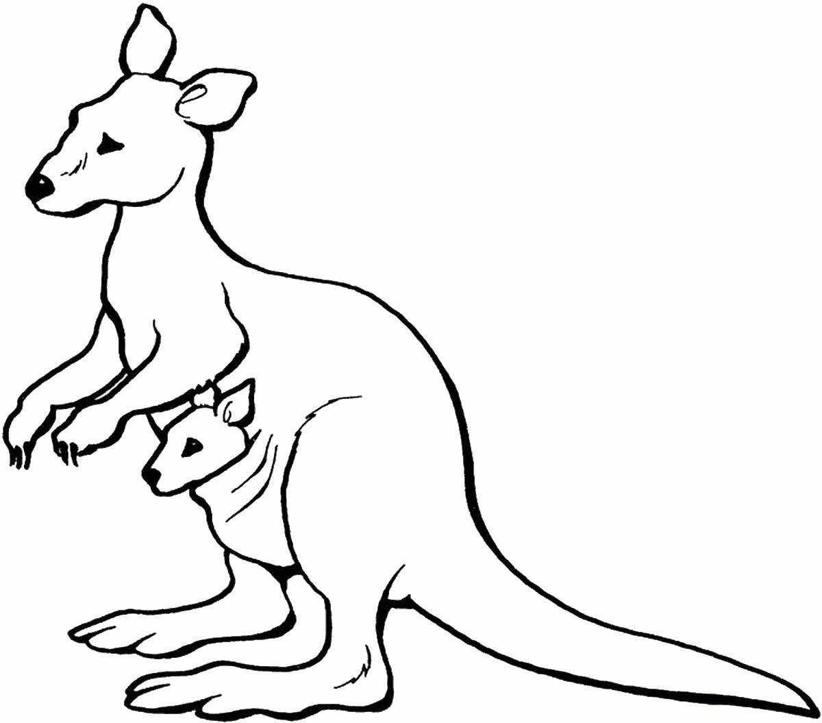 kangaroo coloring pages preschool black - photo #1