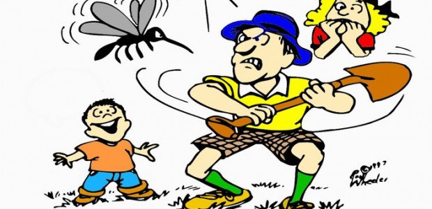 הישרדות דפי צביעה לחצו על דפי הצביעה בנושא הישרדות להגדלה ולהדפסה