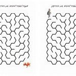 Knight-Maze12 Knight-Maze12