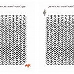 Knight-Maze13 Knight-Maze13