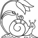 דף צביעה שבלול, פרח וחיפושית