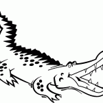 דף צביעה תנין 10