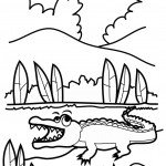 דף צביעה תנין 9