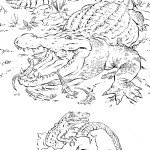 תנינים קטנים בוקעים מהביצה