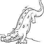 דף צביעה תנין 6