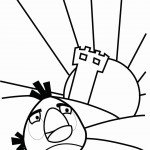 דף צביעה אנגרי בירדס 29 דף צביעה אנגרי בירדס 29