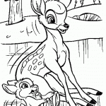 דף צביעה עופר וארנב