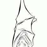 דף צביעה עטלף 6