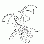 דף צביעה עטלף 11