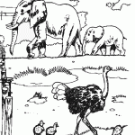 דף צביעה בת יענה בספארי