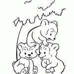 גורי דובים משתעשעים