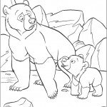 דובת הקוטב ובנה הקטן