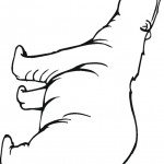 דף צביעה דוב 1