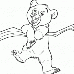 דוב קטן וחמוד מתנדנד על ענף