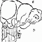 דוב מלקק מצנצנת דבש