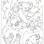 דף צביעה דוב 10