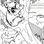 דף צביעה דוב מטפס על עץ