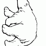 דף צביעה דוב 3