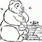 דף צביעה דוב מלקק דבש