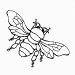 דף צביעה דבורה 10