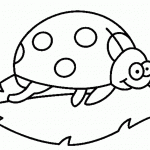 דף צביעה חיפושית 4