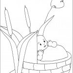 דף צביעה משה התינוק בתיבה