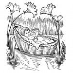 דף צביעה משה בתיבה