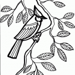 דף צביעה ציפור 11
