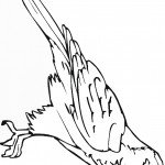 דף צביעה ציפור 8