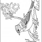 דף צביעה ציפור 7