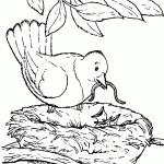 ציפור מאכילה את גוזליה