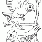 דף צביעה ציפור 1