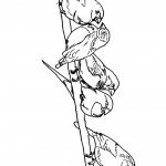 ציפורים עומדות על ענף עץ