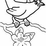 דף צביעה ציפור עם כובע