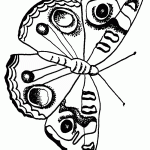 דף צביעה פרפר 28