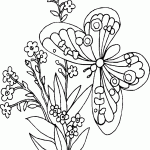 דף צביעה פרפר 26