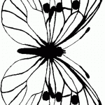 דף צביעה פרפר 22