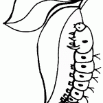 דף צביעה פרפר 21