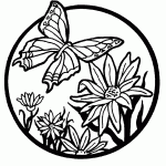 דף צביעה פרפר 20