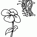 דף צביעה פרפר 19