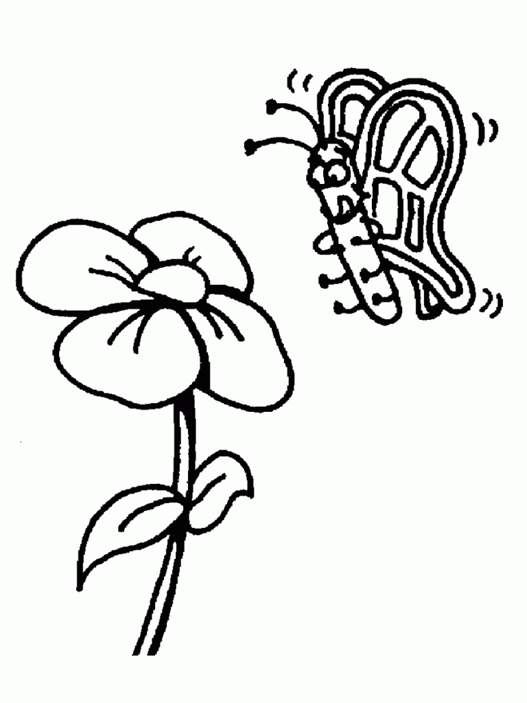 דף צביעה פרפר 19