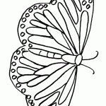 דף צביעה פרפר 41