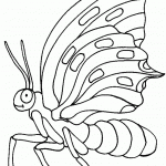 דף צביעה פרפר 33