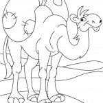 דף צביעה משא כבד על דבשת הגמל דף צביעה משא כבד על דבשת הגמל