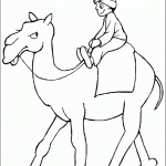 דף צביעה ילד ערבי רוכב על גמל דף צביעה ילד ערבי רוכב על גמל