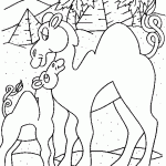 דף צביעה נאקה ובכר דף צביעה נאקה ובכר