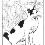 דף צביעה חתול 8