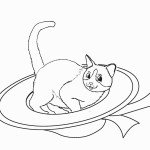 דף צביעה חתול רובץ בתוך כובע