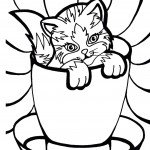 דף צביעה גור חתולים בכוס