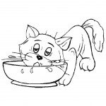 דף צביעה חתול רעב מאוד